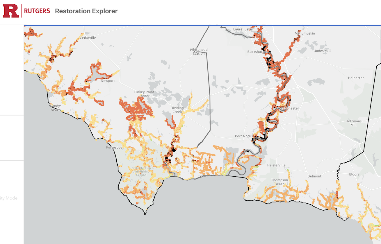 living shorelines map app